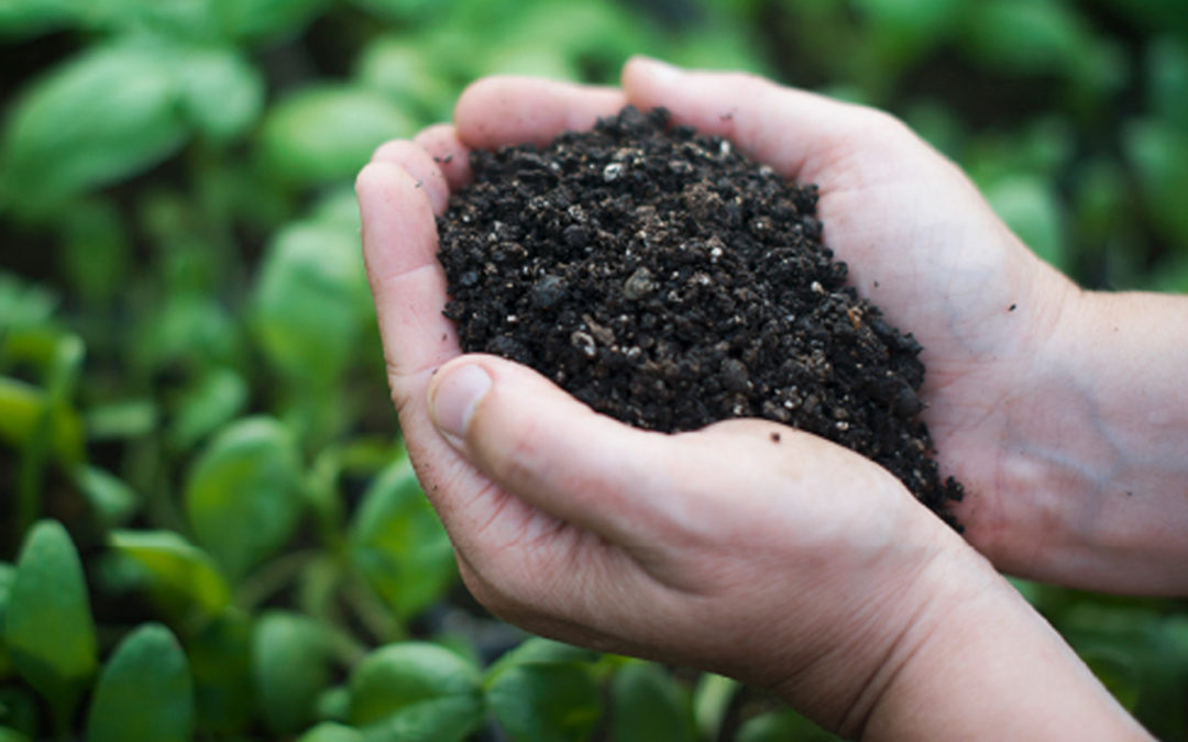 Business Opportunities with the Michigan SoilWorks CFT