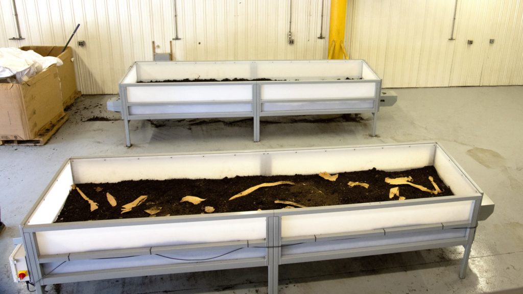 worms compost base layer
