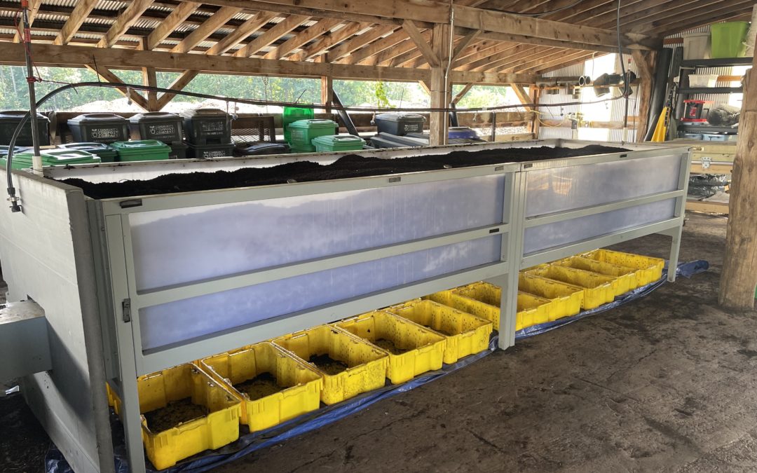 Wormgear Continuous Flow Through (CFT) vermicomposting system with yellow collection bins in a sheltered farming environment.