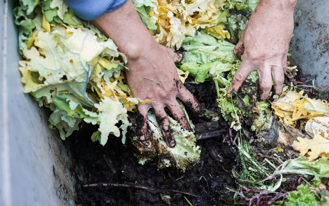 5 Reasons to Compost