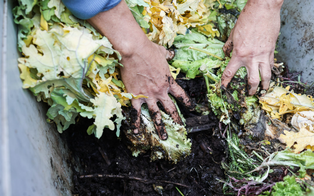 Farmer mixing compost and some organic waste with hands