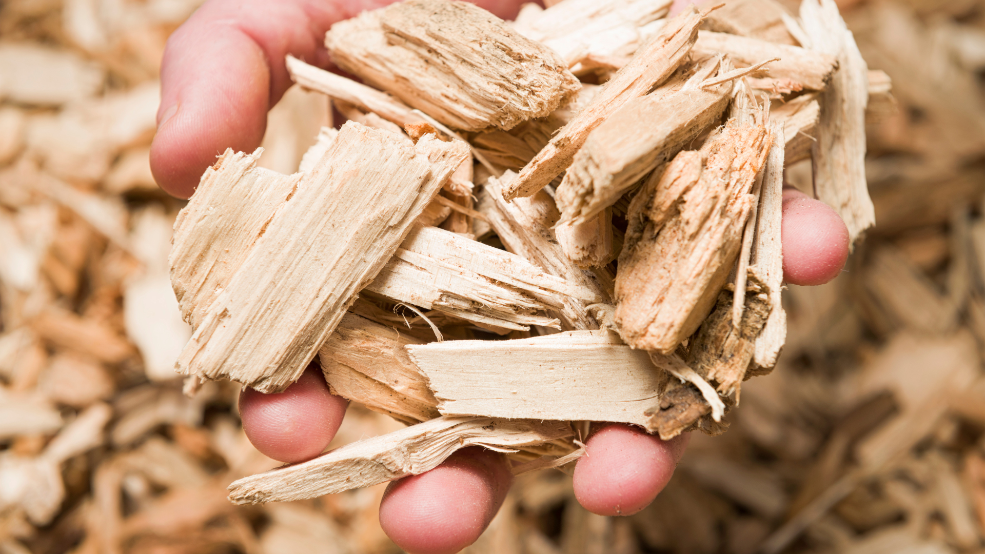 wood chips to add more carbon