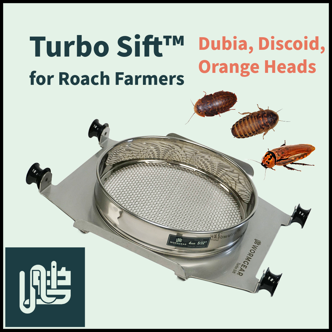 Turbo-sift-for-orange-heads-dubia-discoid Buy Turbo Sift™ for Dubia, Discoid and Orange Head Cockroaches