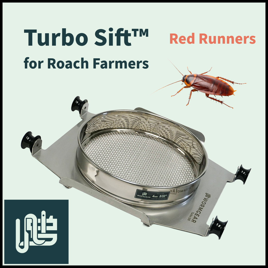Turbo-sift-for-red-runners Buy Turbo Sift™ for Red Runner Cockroaches