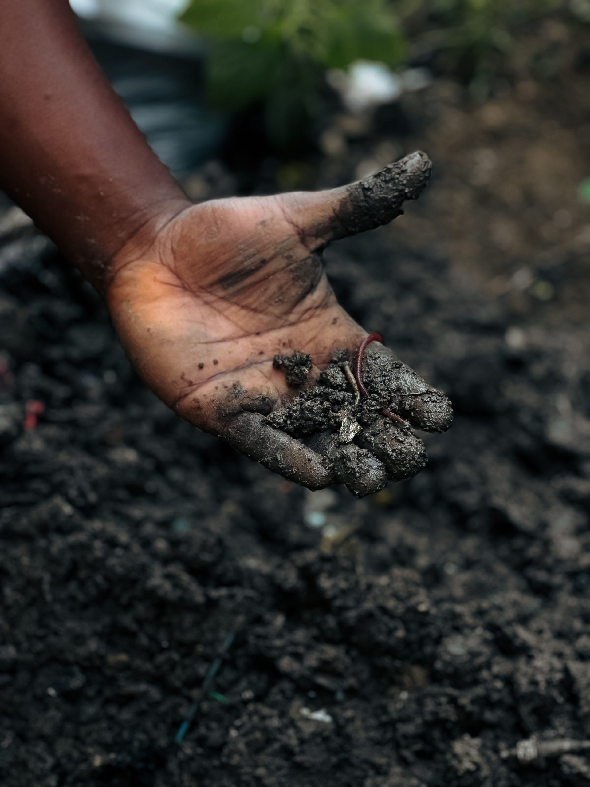 student holding vermicomposting worm